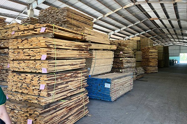 Sở hữu nguồn nguyên liệu rừng trồng