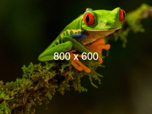 sản phẩm test theo kích thước